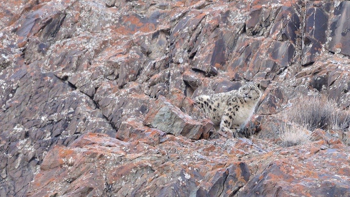 Ladakh